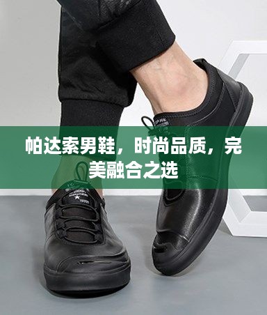 帕达索男鞋，时尚品质，完美融合之选