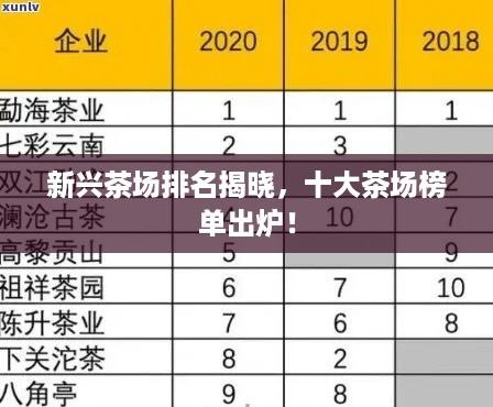 新兴茶场排名揭晓，十大茶场榜单出炉！