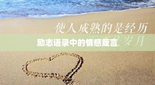 励志语录中的情感箴言
