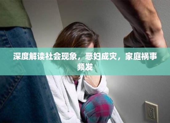 深度解读社会现象，恶妇成灾，家庭祸事频发