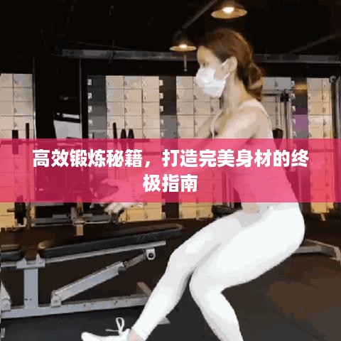 高效锻炼秘籍，打造完美身材的终极指南