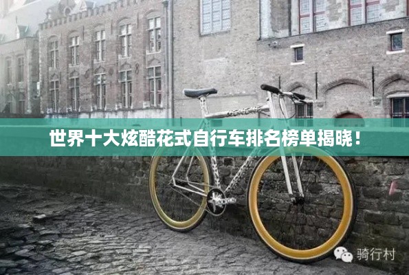 世界十大炫酷花式自行车排名榜单揭晓！