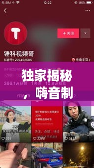 独家揭秘，嗨音制作背后的音乐与创新完美融合之道