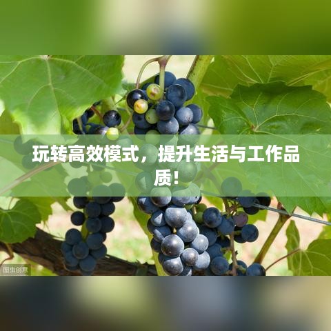 玩转高效模式，提升生活与工作品质！