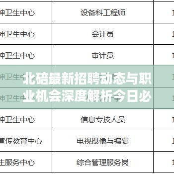 北碚最新招聘动态与职业机会深度解析今日必看！