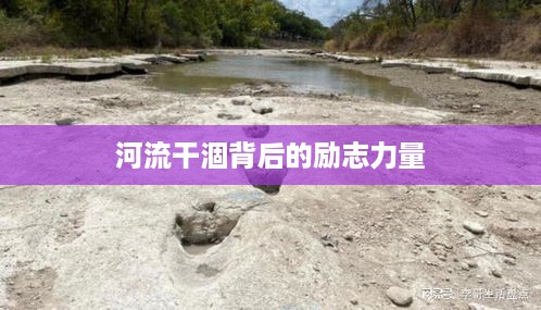 河流干涸背后的励志力量