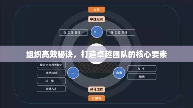组织高效秘诀，打造卓越团队的核心要素