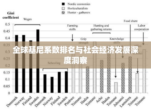 全球基尼系数排名与社会经济发展深度洞察