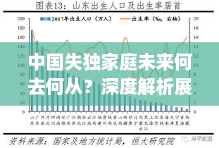 中国失独家庭未来何去何从？深度解析展望其未来趋势
