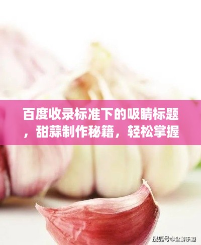 百度收录标准下的吸睛标题，甜蒜制作秘籍，轻松掌握百度认证美味秘诀！
