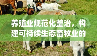 养殖业规范化整治，构建可持续生态畜牧业的基石