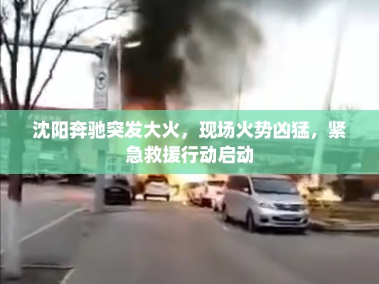 沈阳奔驰突发大火，现场火势凶猛，紧急救援行动启动
