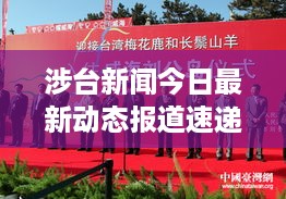 涉台新闻今日最新动态报道速递