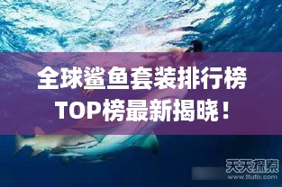 全球鲨鱼套装排行榜TOP榜最新揭晓！