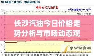 长沙汽油今日价格走势分析与市场动态观察