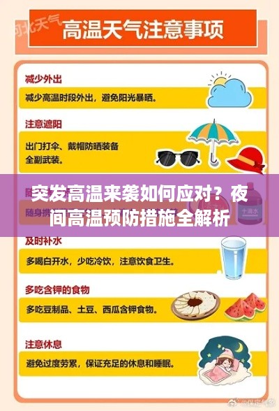 成功案例 第67页