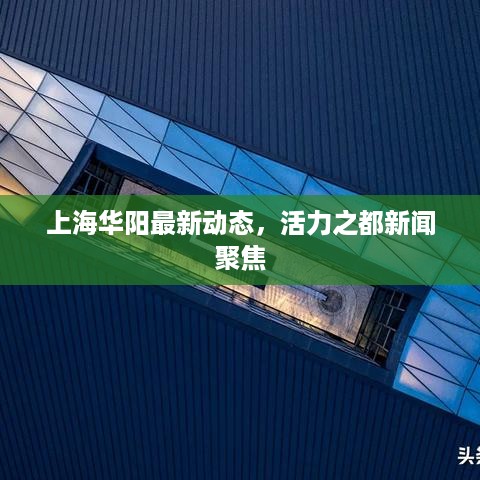 上海华阳最新动态，活力之都新闻聚焦