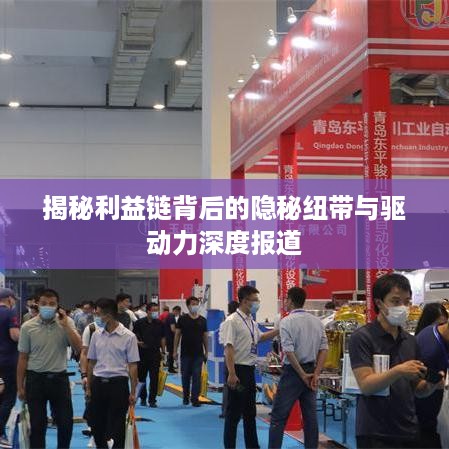 揭秘利益链背后的隐秘纽带与驱动力深度报道