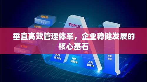 垂直高效管理体系，企业稳健发展的核心基石