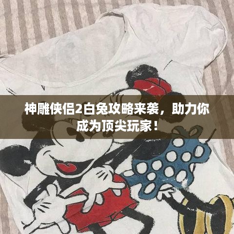 神雕侠侣2白兔攻略来袭，助力你成为顶尖玩家！