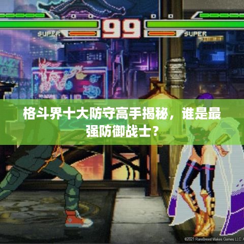 格斗界十大防守高手揭秘，谁是最强防御战士？
