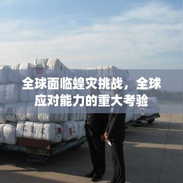 全球面临蝗灾挑战，全球应对能力的重大考验
