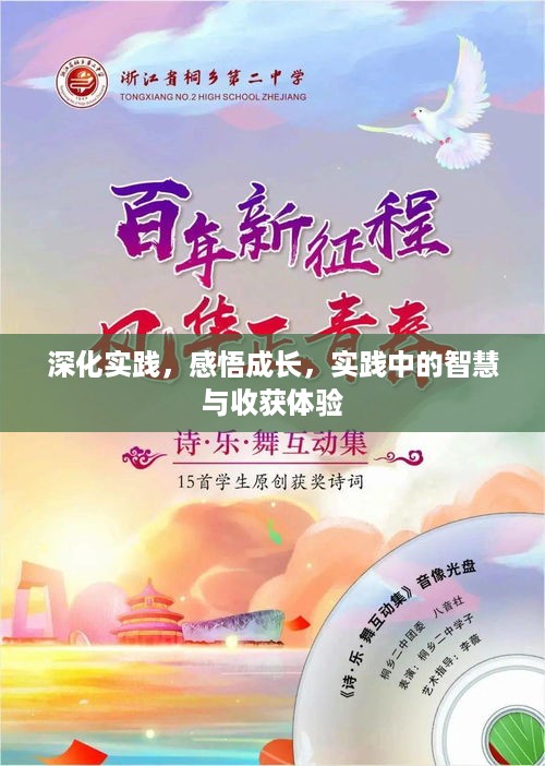 深化实践，感悟成长，实践中的智慧与收获体验