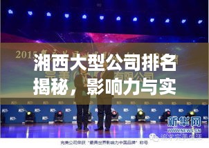 湘西大型公司排名揭秘，影响力与实力的完美结合