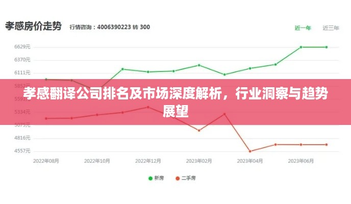 孝感翻译公司排名及市场深度解析，行业洞察与趋势展望