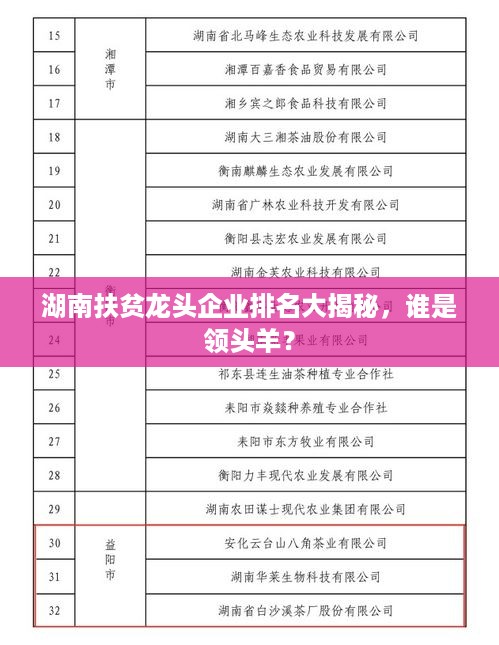 湖南扶贫龙头企业排名大揭秘，谁是领头羊？