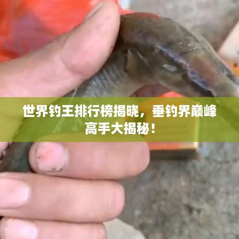世界钓王排行榜揭晓，垂钓界巅峰高手大揭秘！