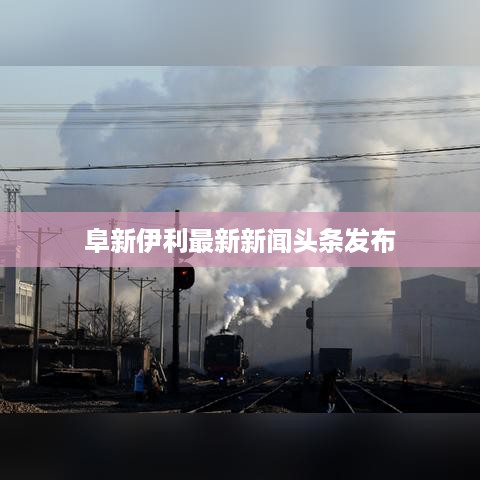 阜新伊利最新新闻头条发布