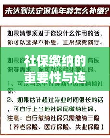 社保缴纳的重要性与连续性保障措施解析，如何避免社保断交？