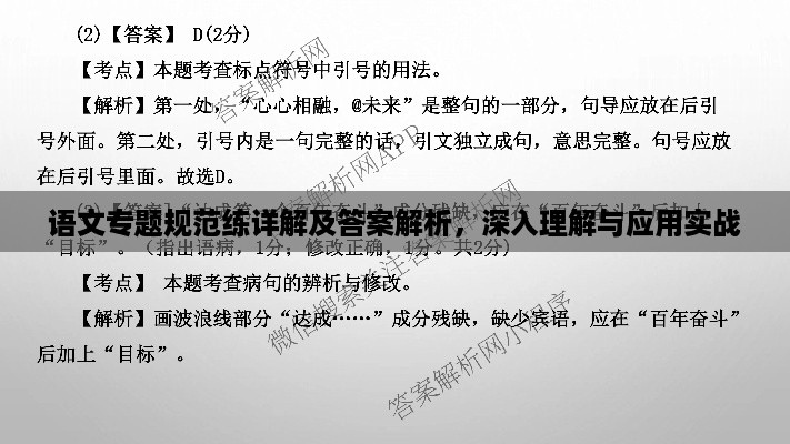 语文专题规范练详解及答案解析，深入理解与应用实战
