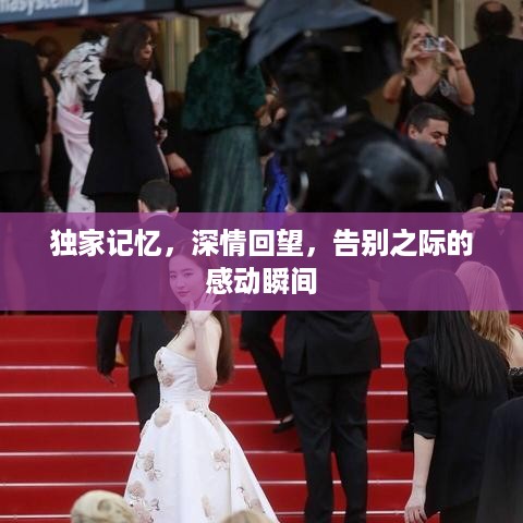 独家记忆，深情回望，告别之际的感动瞬间