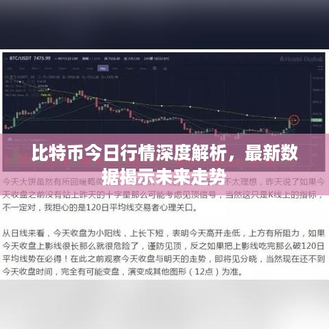 比特币今日行情深度解析，最新数据揭示未来走势
