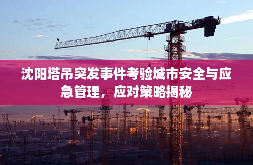 沈阳塔吊突发事件考验城市安全与应急管理，应对策略揭秘