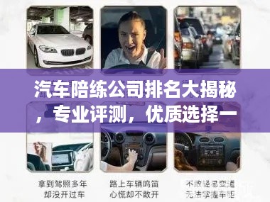 汽车陪练公司排名大揭秘，专业评测，优质选择一网打尽！