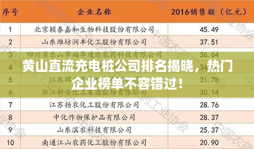 黄山直流充电桩公司排名揭晓，热门企业榜单不容错过！