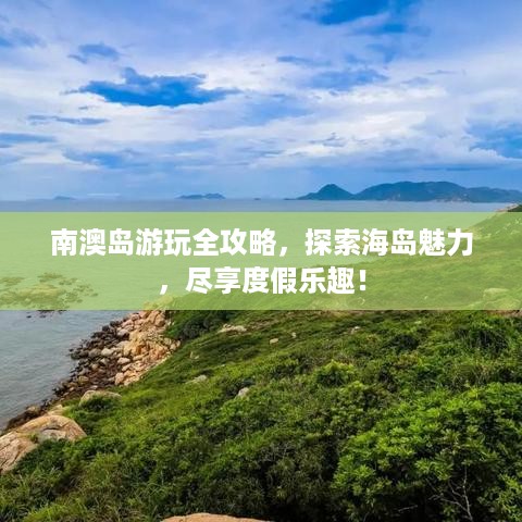 鸢飞戾天