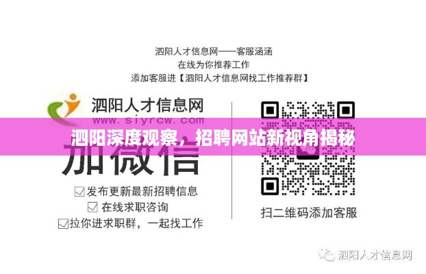 泗阳深度观察，招聘网站新视角揭秘