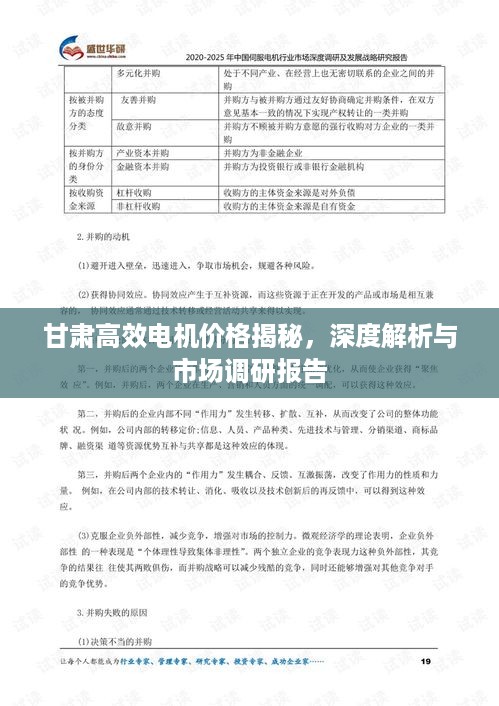 甘肃高效电机价格揭秘，深度解析与市场调研报告