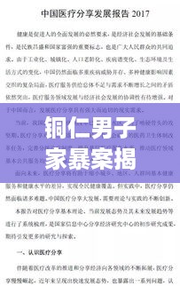 铜仁男子家暴案揭秘，最新进展与深度剖析
