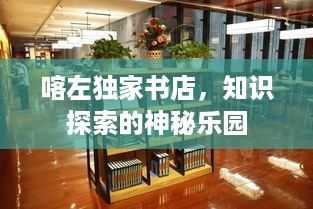 喀左独家书店，知识探索的神秘乐园