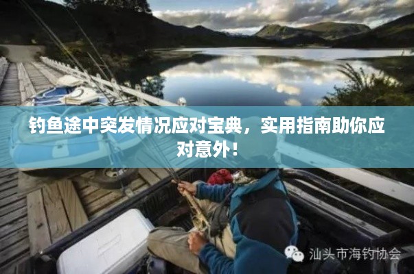 钓鱼途中突发情况应对宝典，实用指南助你应对意外！
