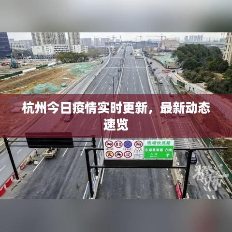 杭州今日疫情实时更新，最新动态速览
