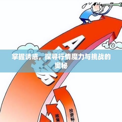 掌握诱惑，探寻行情魔力与挑战的奥秘