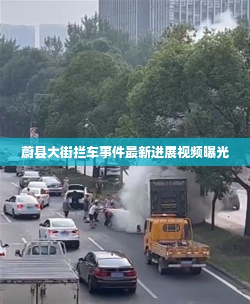 蔚县大街拦车事件最新进展视频曝光