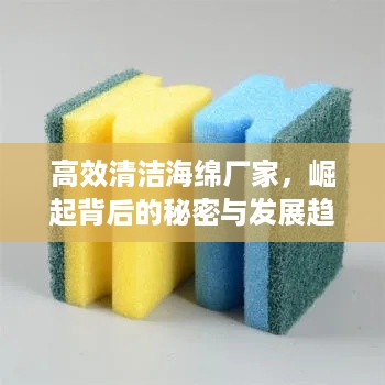 高效清洁海绵厂家，崛起背后的秘密与发展趋势揭秘！