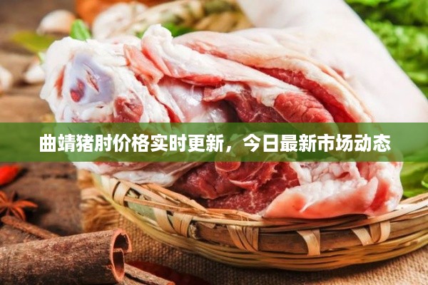 曲靖猪肘价格实时更新，今日最新市场动态